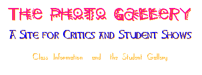 The Photo Gallery